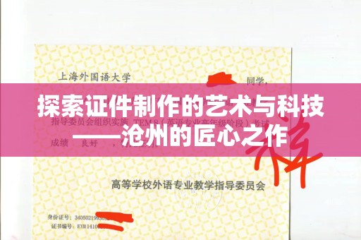 常州探索证件制作的艺术与科技——沧州的匠心之作