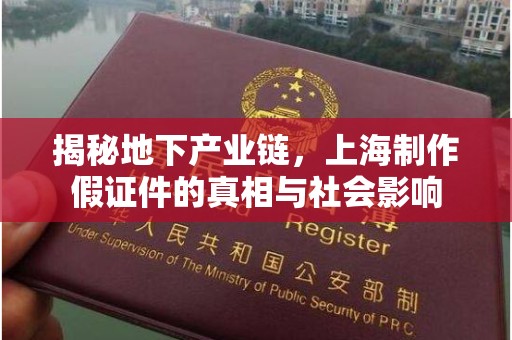 常州揭秘地下产业链，上海制作假证件的真相与社会影响
